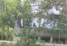 Một Buổi Sáng Trọn Vẹn